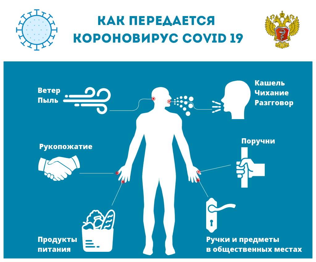 249512594-info-covid19-kak.jpg